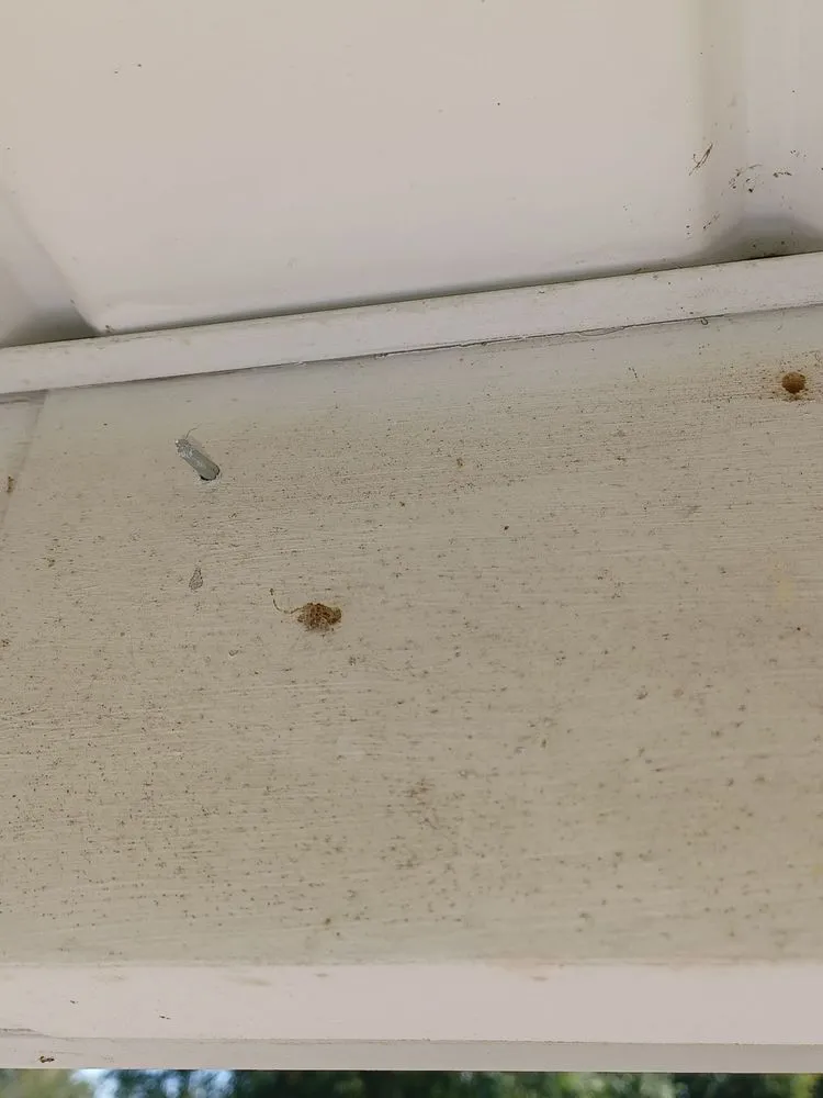 Slide of Above Par Construction