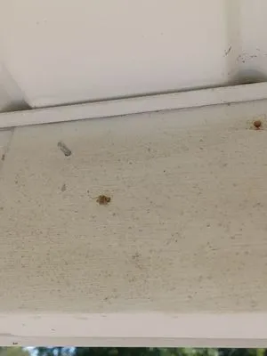 Above Par Construction