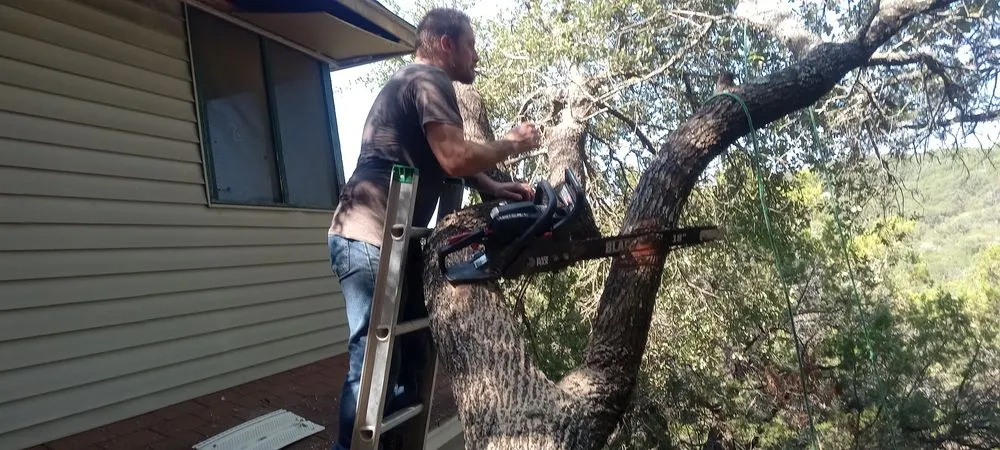 Slide of Abraham's Roofing and Tree Trimming