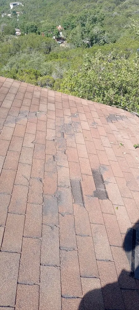 Slide of Abraham's Roofing and Tree Trimming