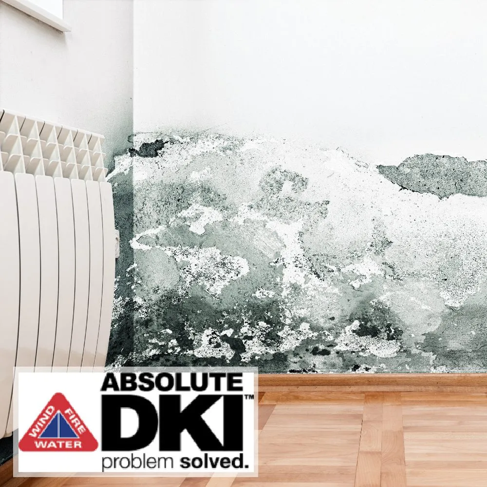 Trusted roof replacement experts serving Mt Pleasant, WI - Absolute DKI