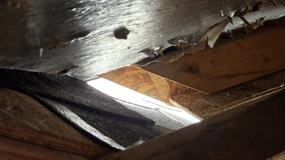 Slide of Absolute Professional Roofing Contractors