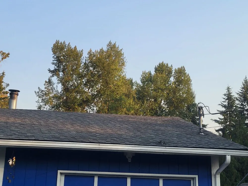 Slide of Absolute Quality Roof Restoration