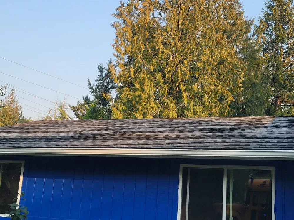 Slide of Absolute Quality Roof Restoration
