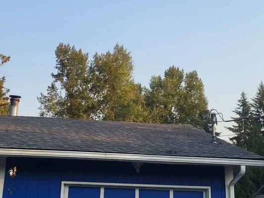 Absolute Quality Roof Restoration