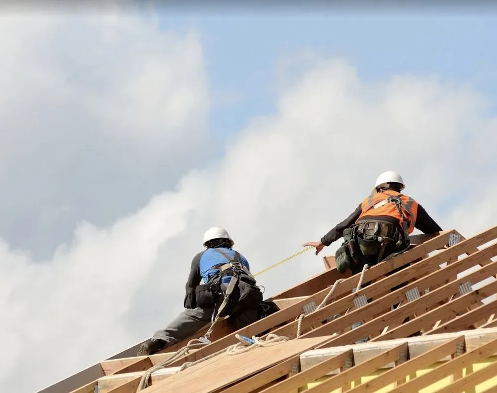 Slide of Absolute Restorations