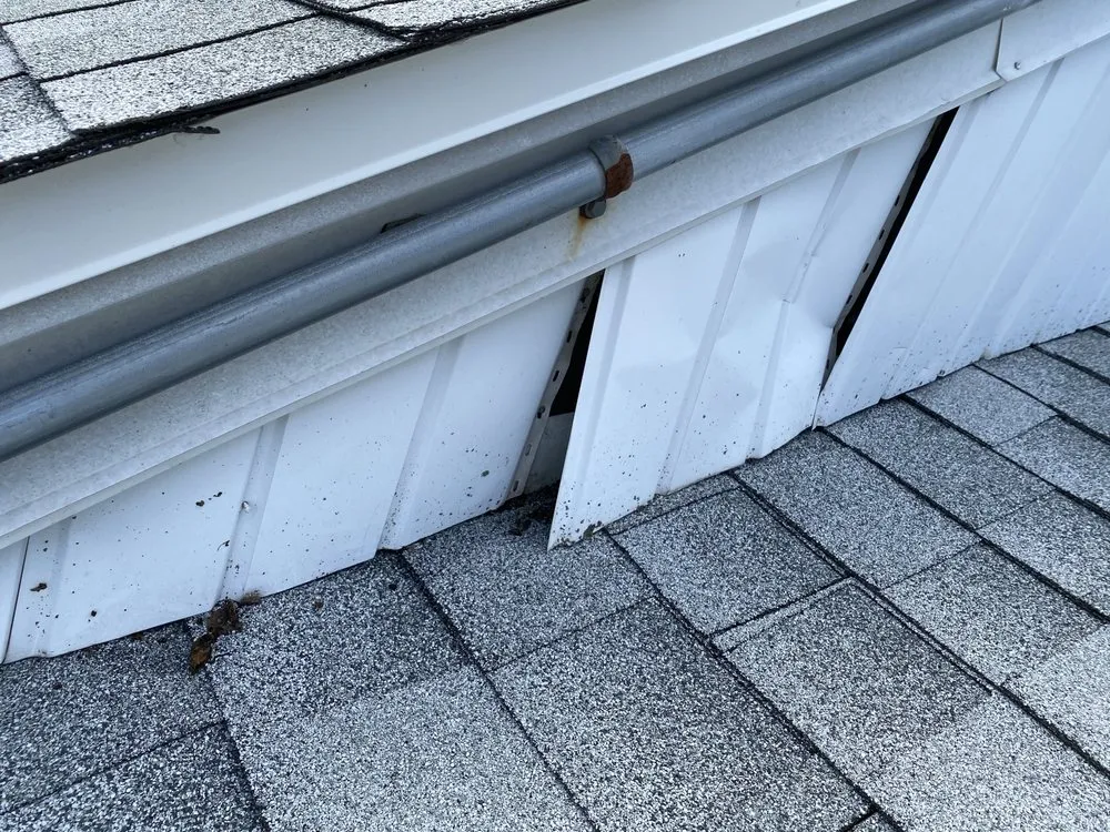 Slide of Absolute Restorations