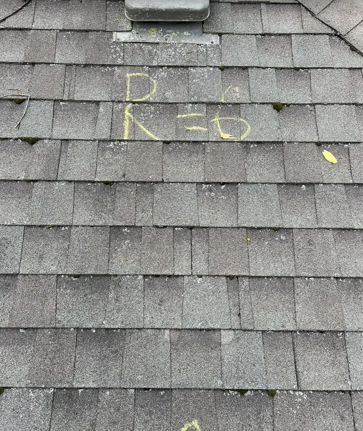 Slide of Absolute Restorations