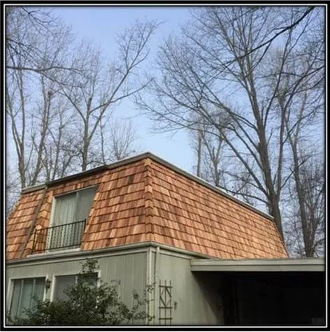 Expert roof replacement for residential properties in Brookline, MO by Absolute Roofing Inc