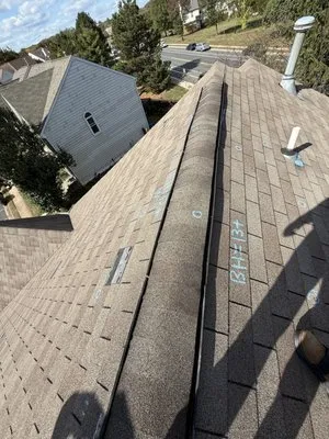 Absolute Roofing