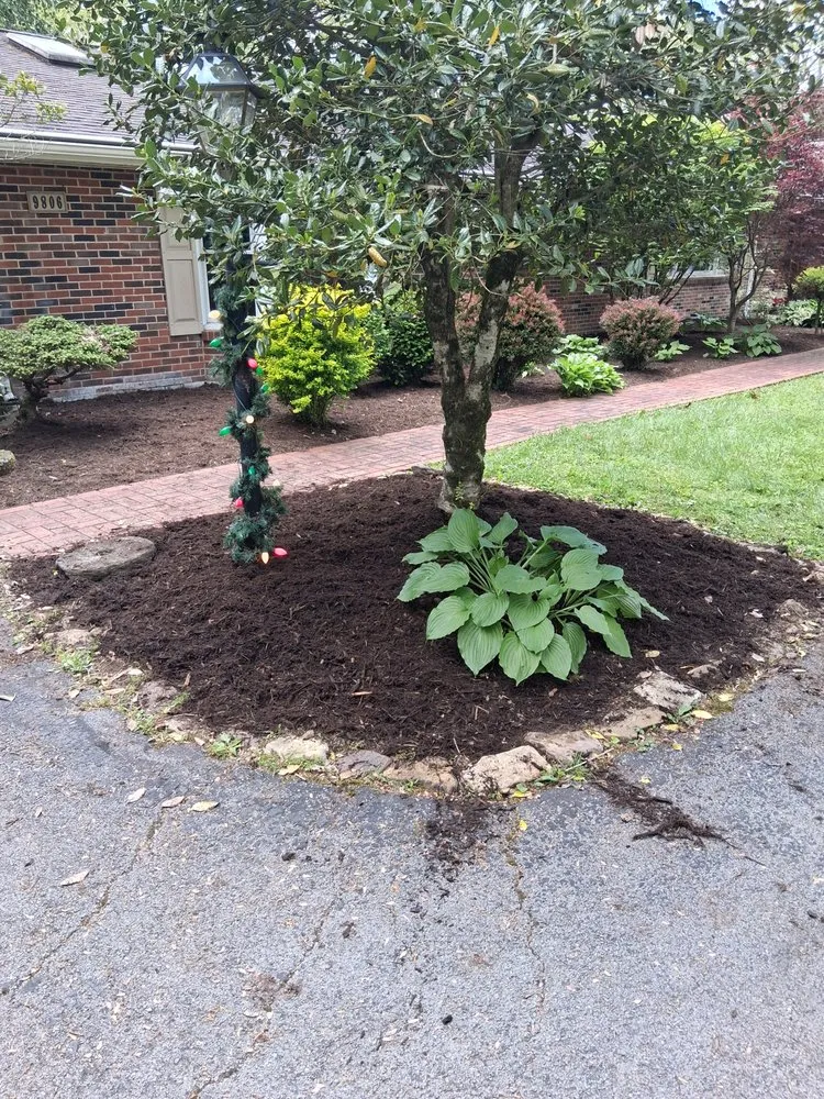 Slide of AC Renovation