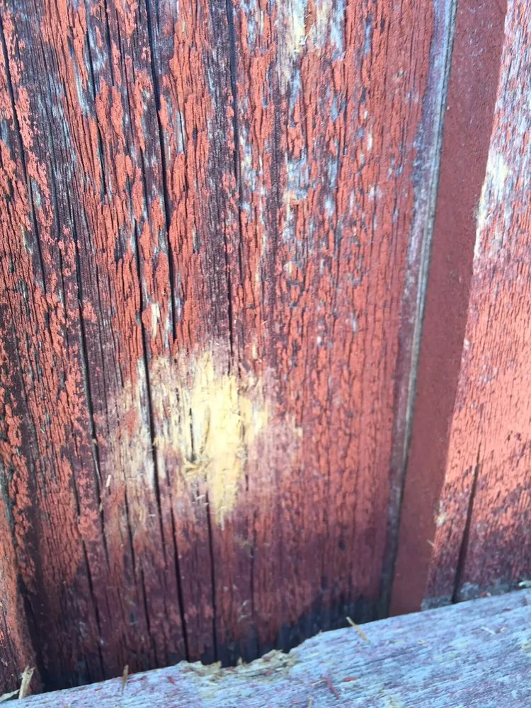 Slide of Accent Roofing Company & Construction