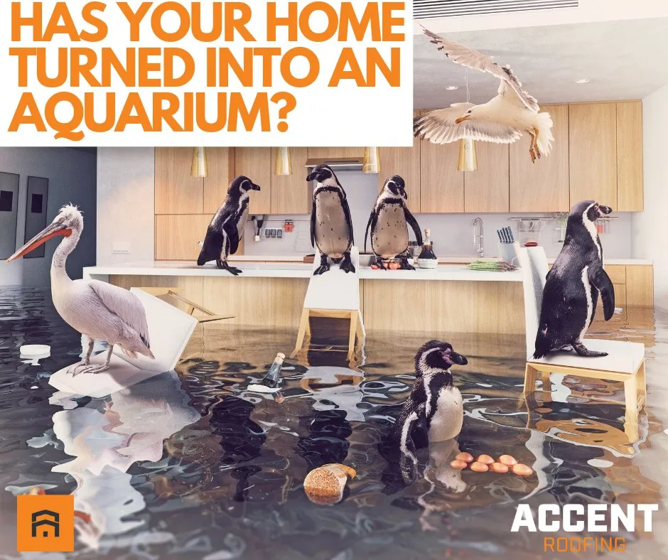 Slide of Accent Roofing Group