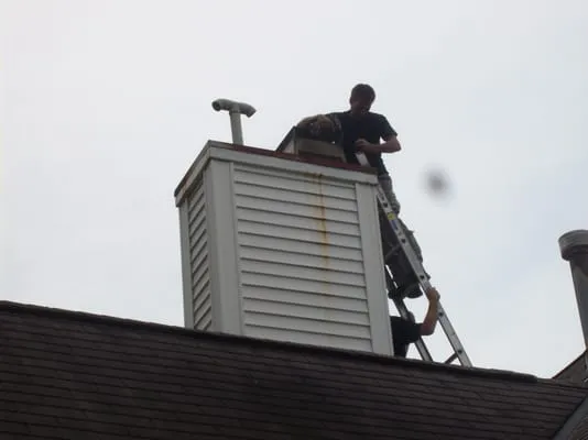 Accurate Gutter & Chimney Cleaning
