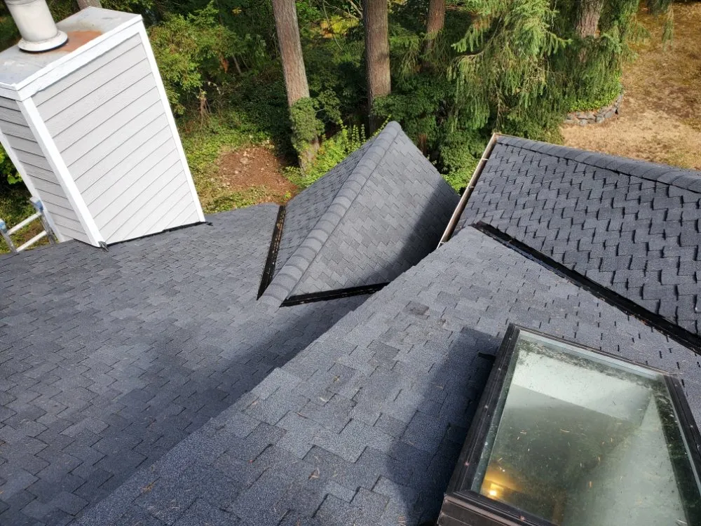 Slide of Ace Construction Pro