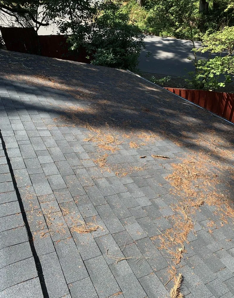 Slide of Ace Home Services