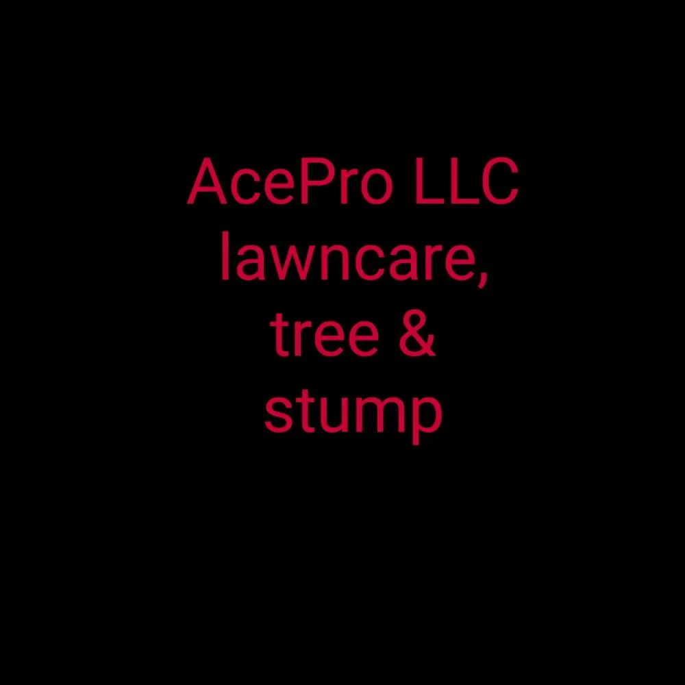 Slide of Ace pro