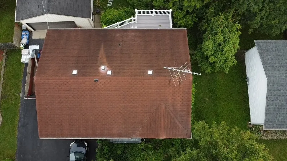 Slide of Ace Restoreation