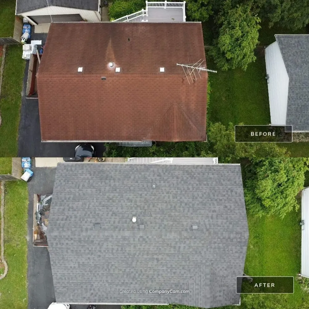 Slide of Ace Restoreation