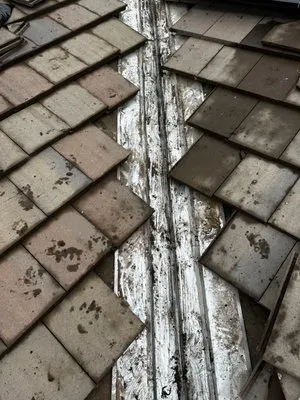 Ace Roof Repair Logo