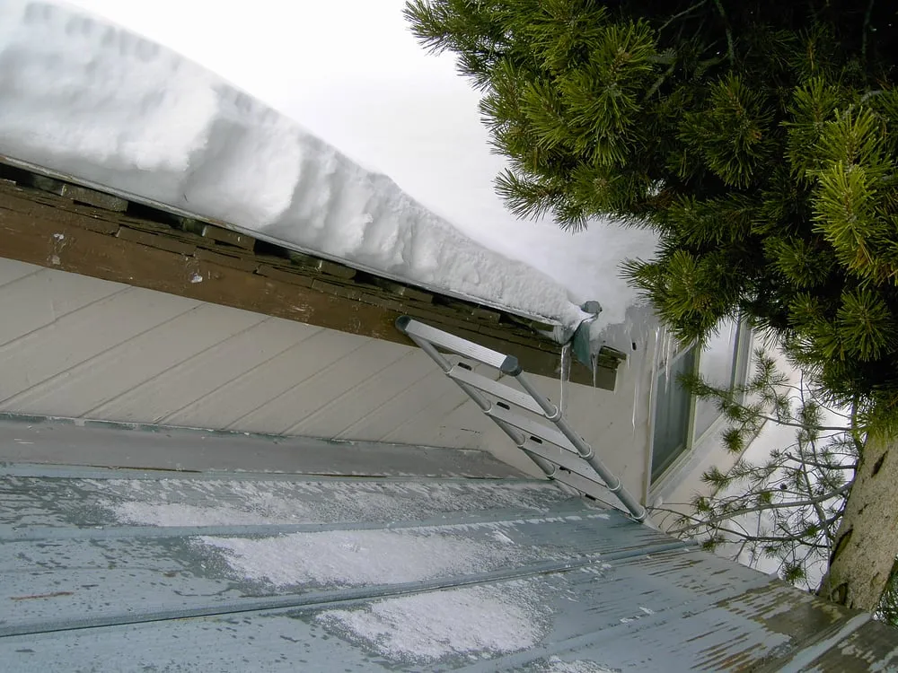 Emergency roof inspection for residential properties in Wilsall, MT by Ace Roofing, LLC