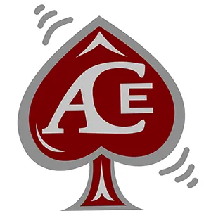Expert roof leak repair in Wilsall, MT by Ace Roofing, LLC