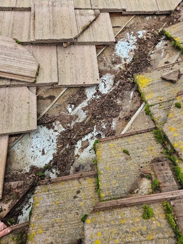 Slide of Action Roofing Service