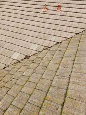 Action Roofing Service