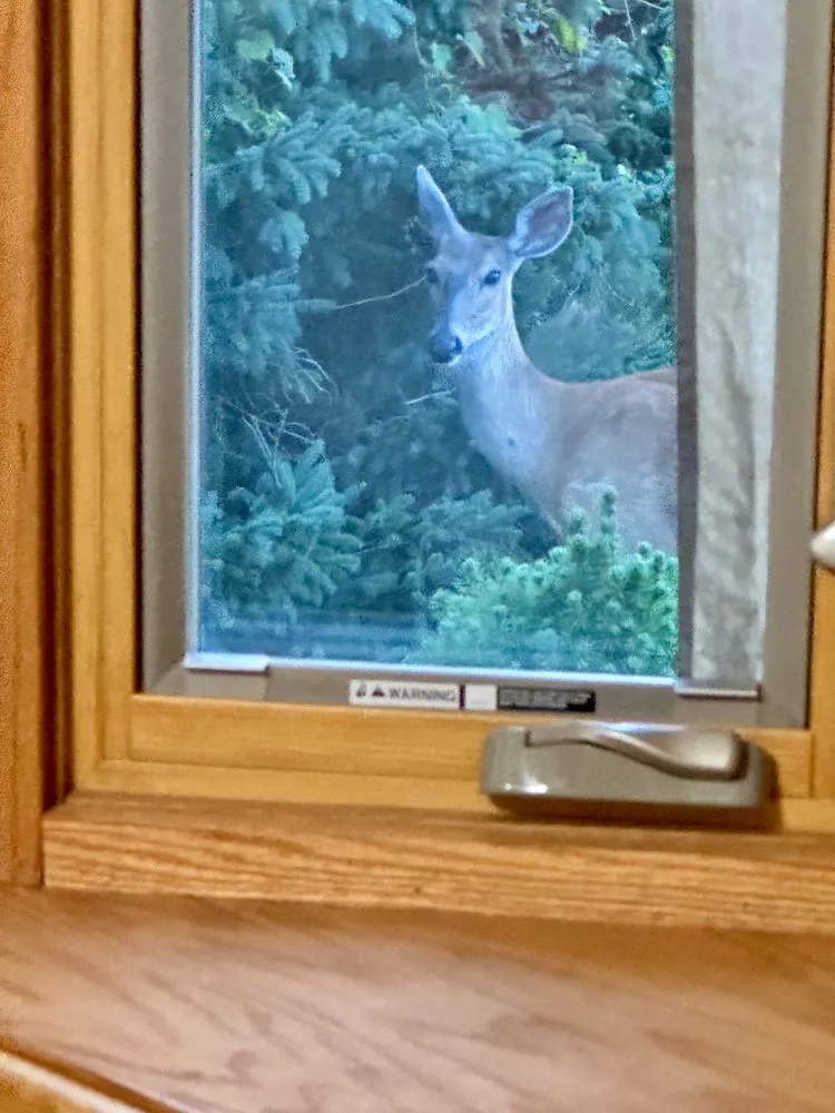 Slide of Active One Construction