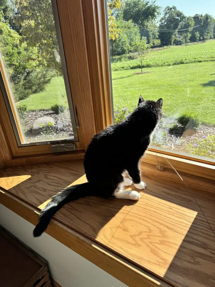 Slide of Active One Construction