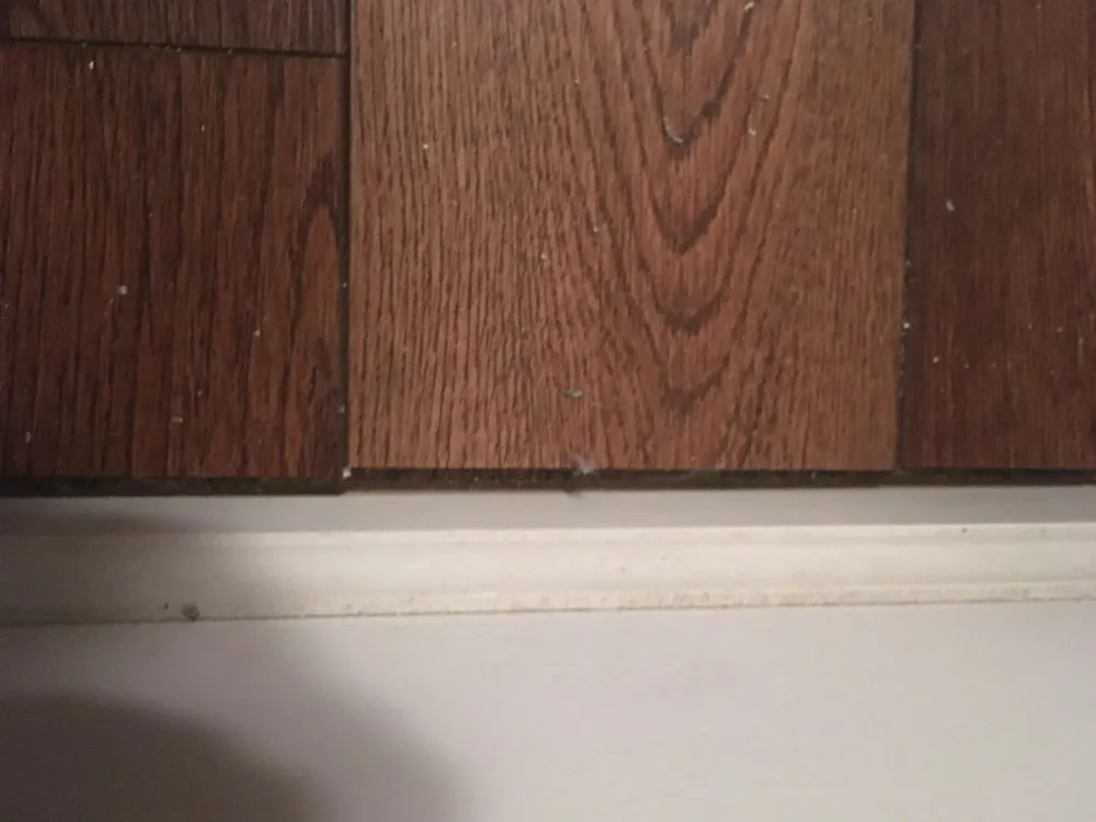 Slide of Adam & Associates