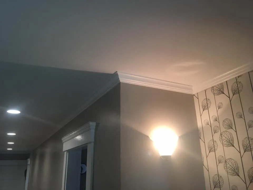 Slide of Adam Niden Painting