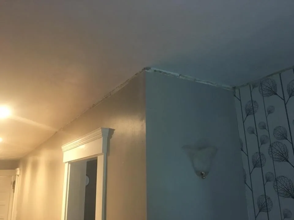 Slide of Adam Niden Painting