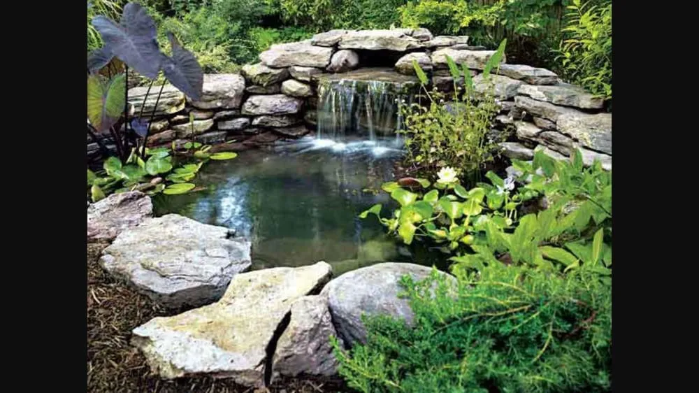 Slide of Adam On Call