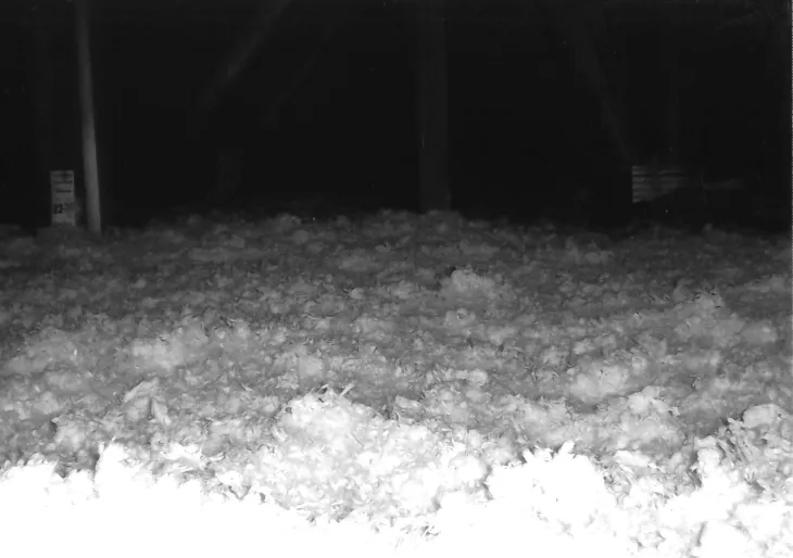 Slide of Adams & Sons Limited Roofing-Siding-Insulation