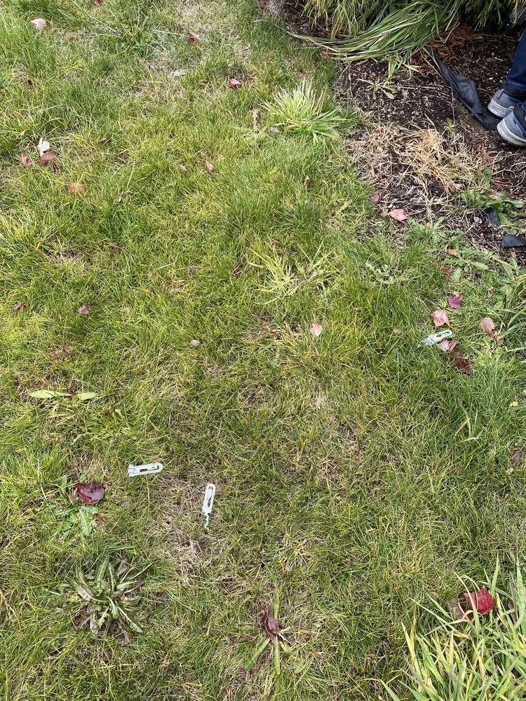 Slide of Adams Exterior Maintenance