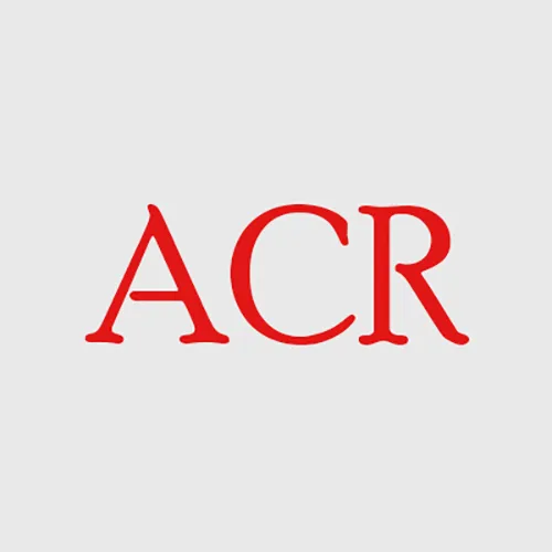 Slide of Adamson Construction and Roofing