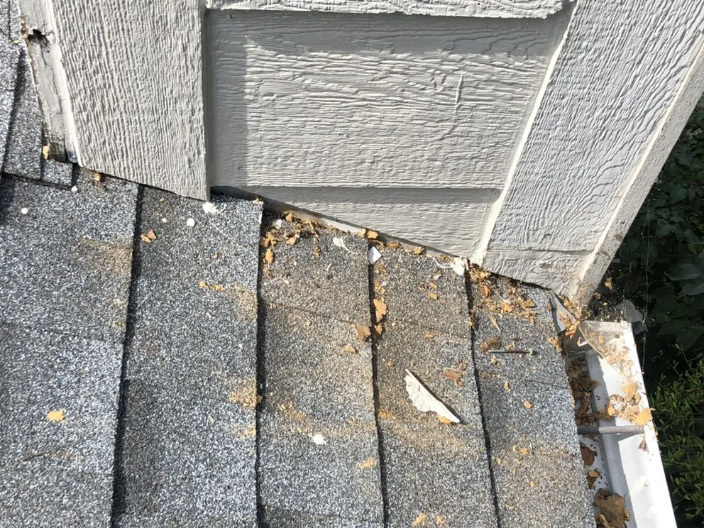 Slide of Adamsons Exterior Services