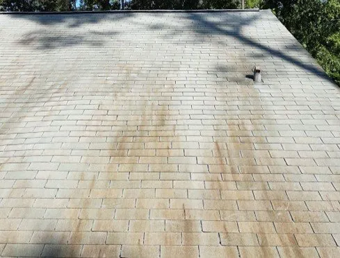 Slide of Add Roof Life