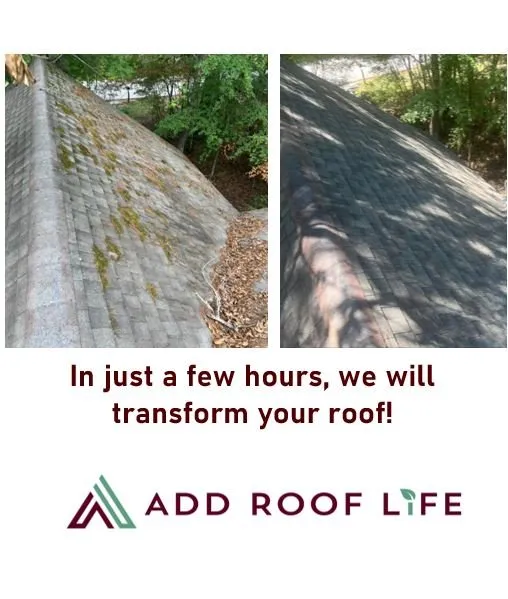 Slide of Add Roof Life