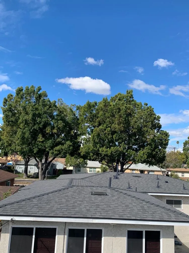 Slide of Adolfo's Hauling & Demolition