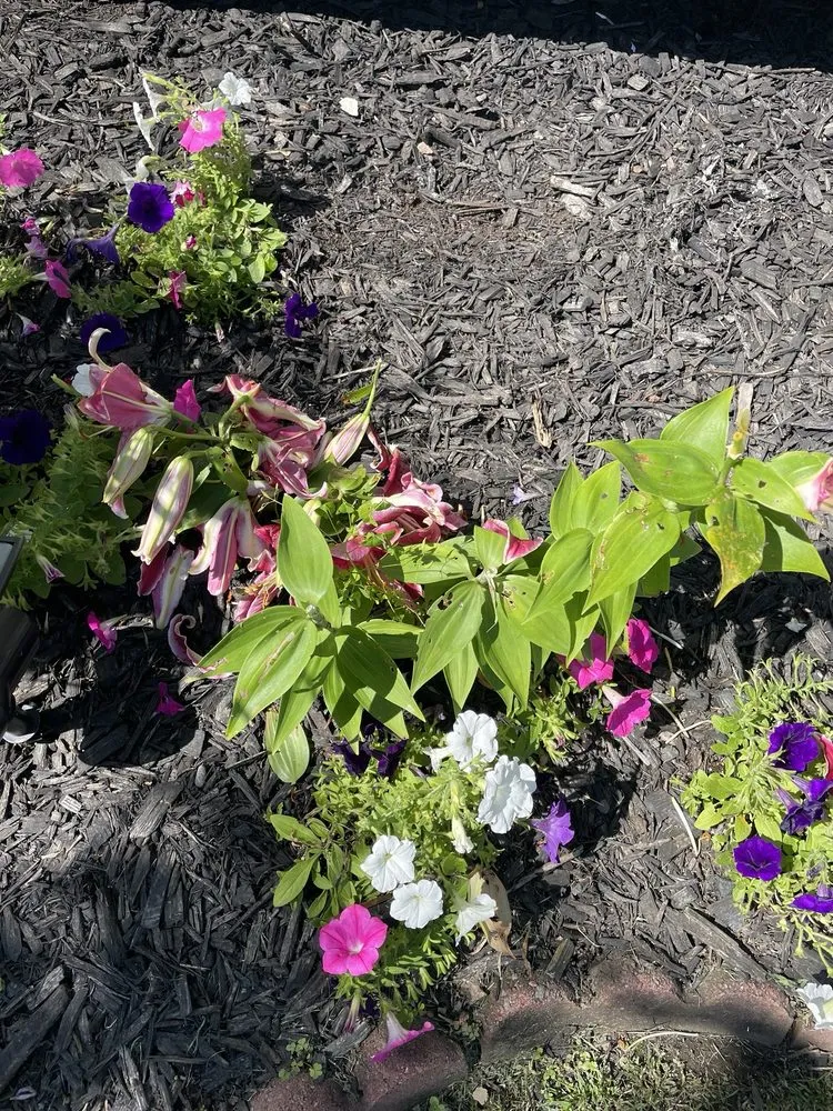Slide of Adonis Roofing