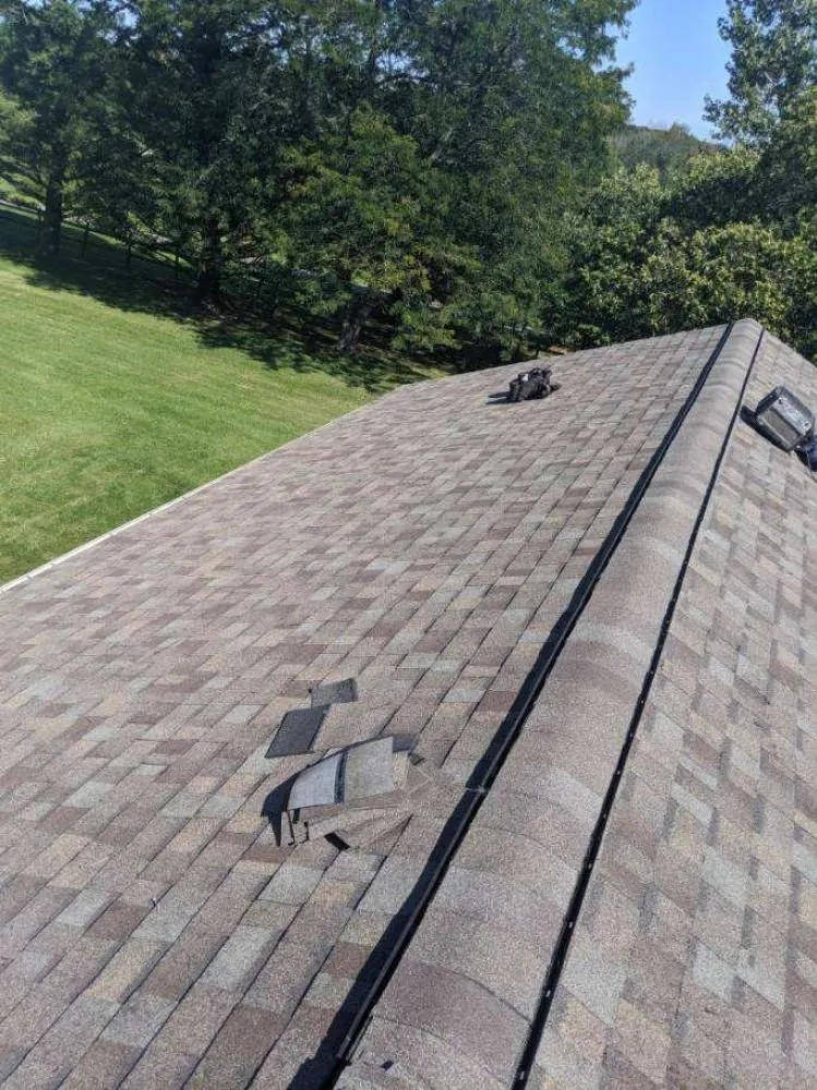 Slide of Adonis Roofing