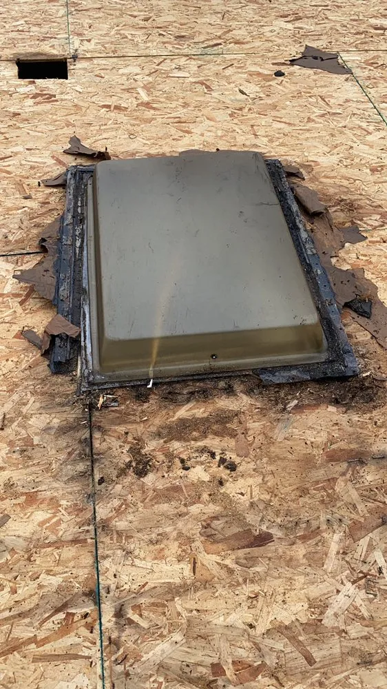 Slide of Adriana Roofin