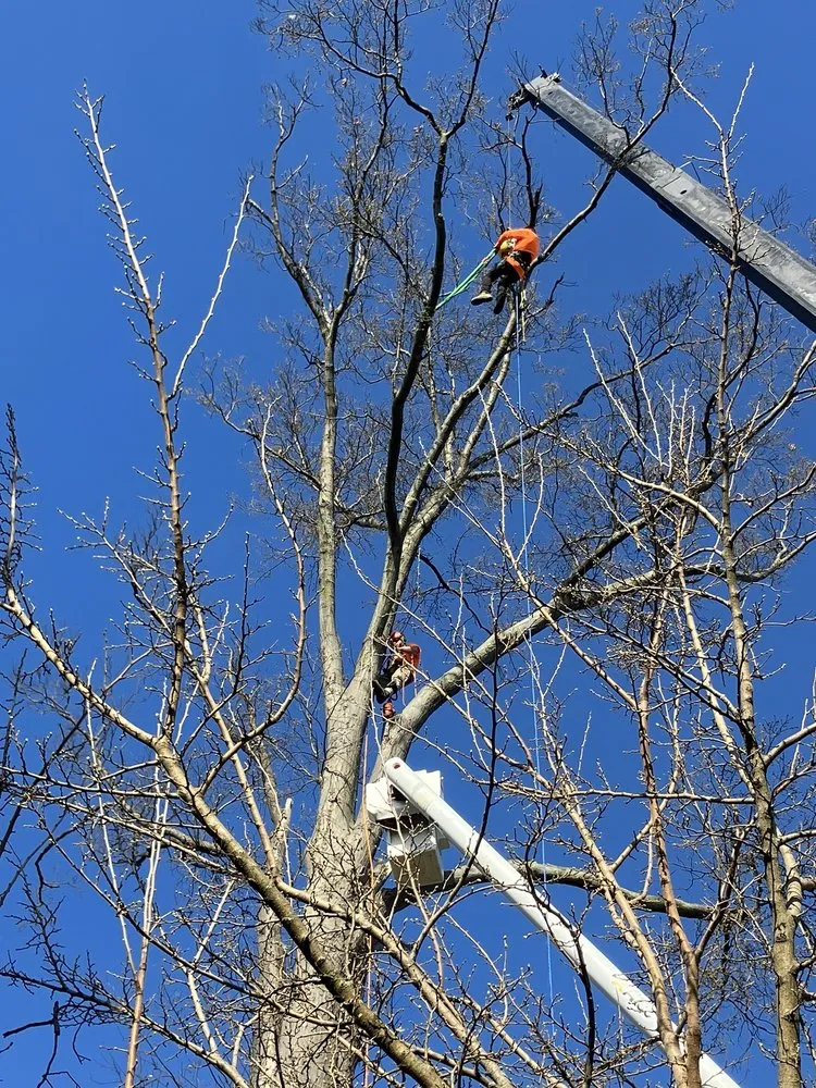 Slide of ADT Construction