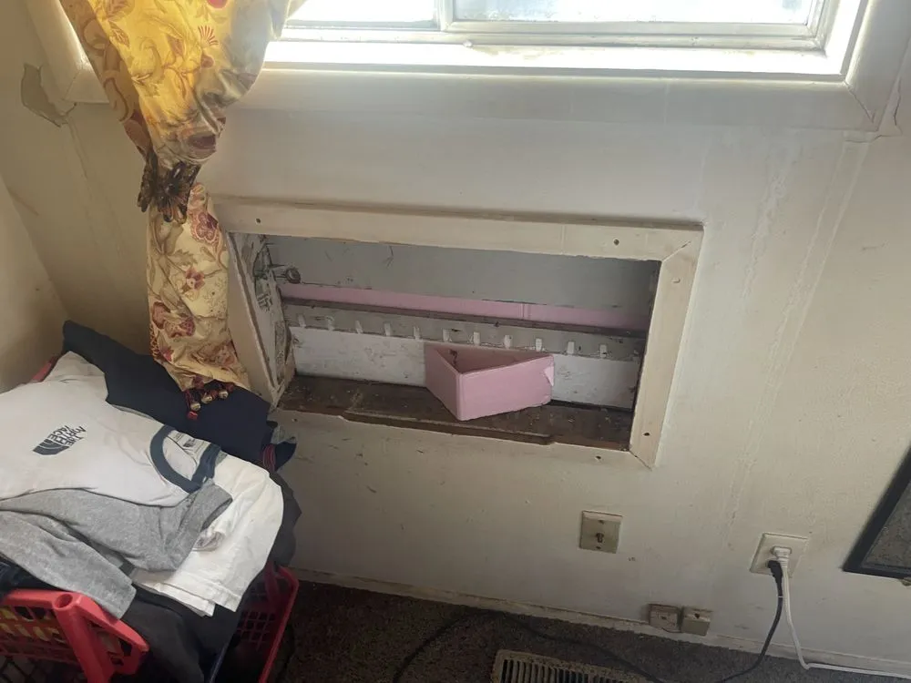 Slide of Advanced Remodeling and Repair