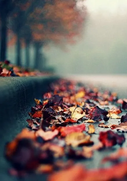 Slide of Advanced Roofing Technologies