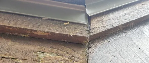 Advantage Home Pros - Roofing Logo