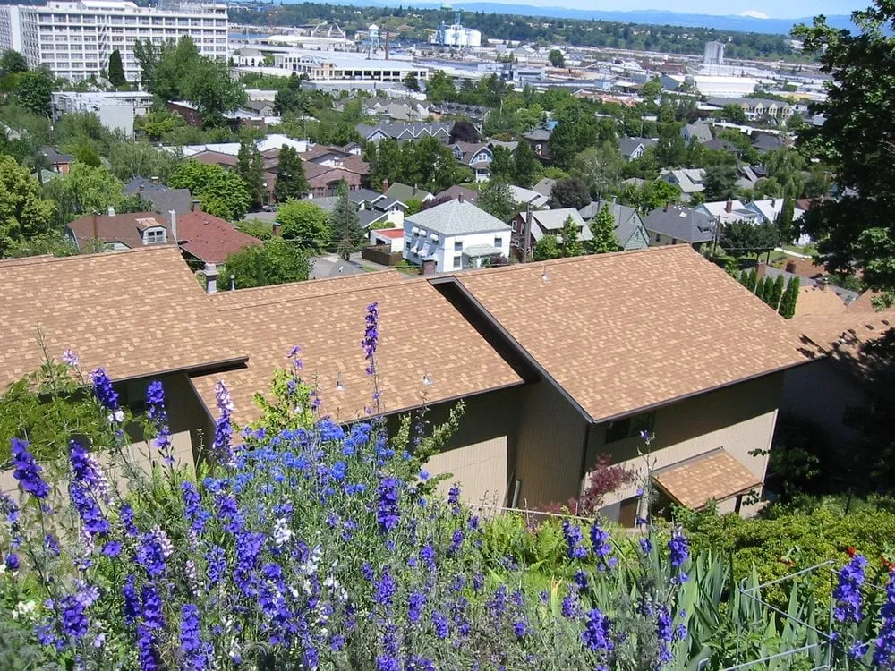 Slide of Adventure Roofing