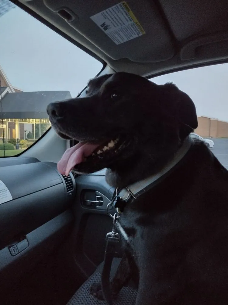 Slide of A&E Construction